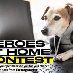 Tell us about your pets to enter our Heroes at Home Contest – NOW Magazine