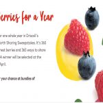 Sweetness Worth Sharing Sweepstakes | Driscoll’s