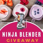 Ninja Professional Blender Giveaway