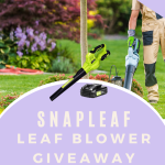 SnapFresh Leaf Blower Giveaway